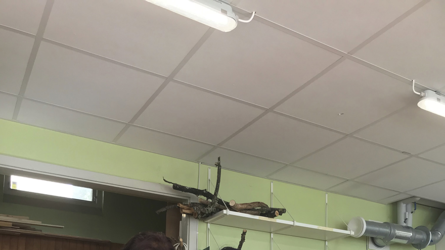 Två deltagare visar upp sin fågelholk, som är byggd av spillvirke