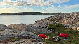 En grupp tält som är uppsatta på en gräsplätt mellan klippor. I bakgrunden syns himlen och havet.