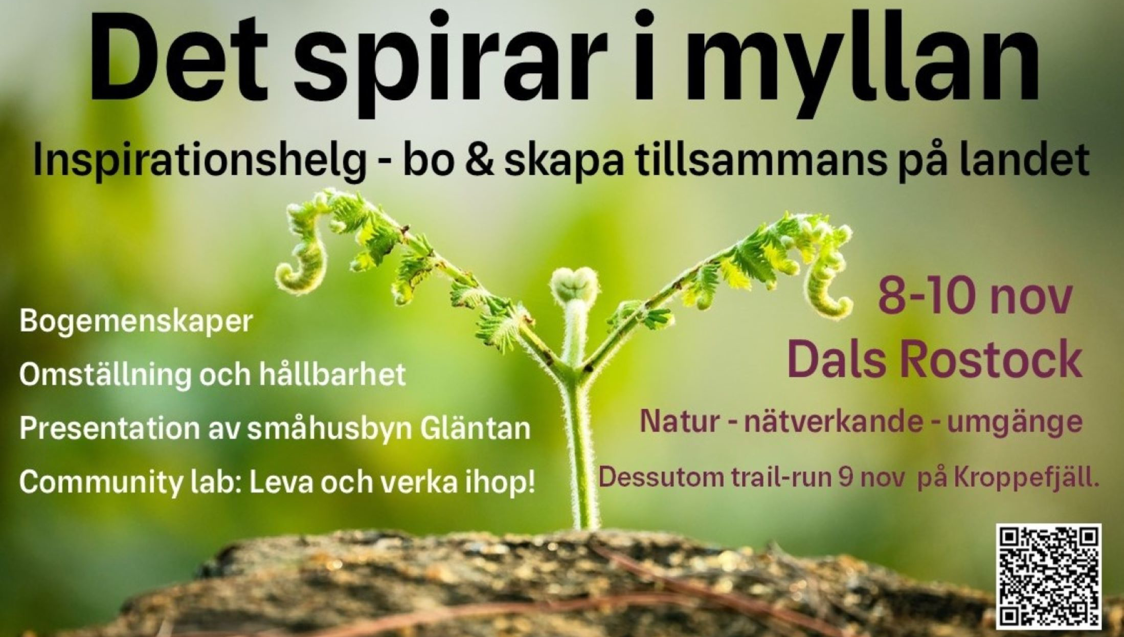 Grodd av ormbunke - eventbild för Det spirar i myllan nov 2024