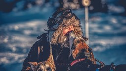 Lisa Carlson, som jobbar som hundspannsguide i Sälen, kelar med två hundar i snön.