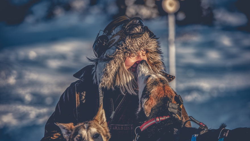 Lisa Carlson, som jobbar som hundspannsguide i Sälen, kelar med två hundar i snön.