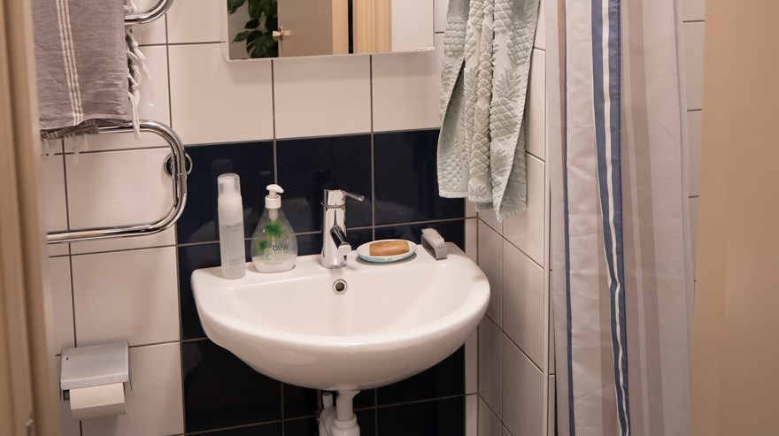 Badrum med toalettstol, handfat med spegel och dusch.
