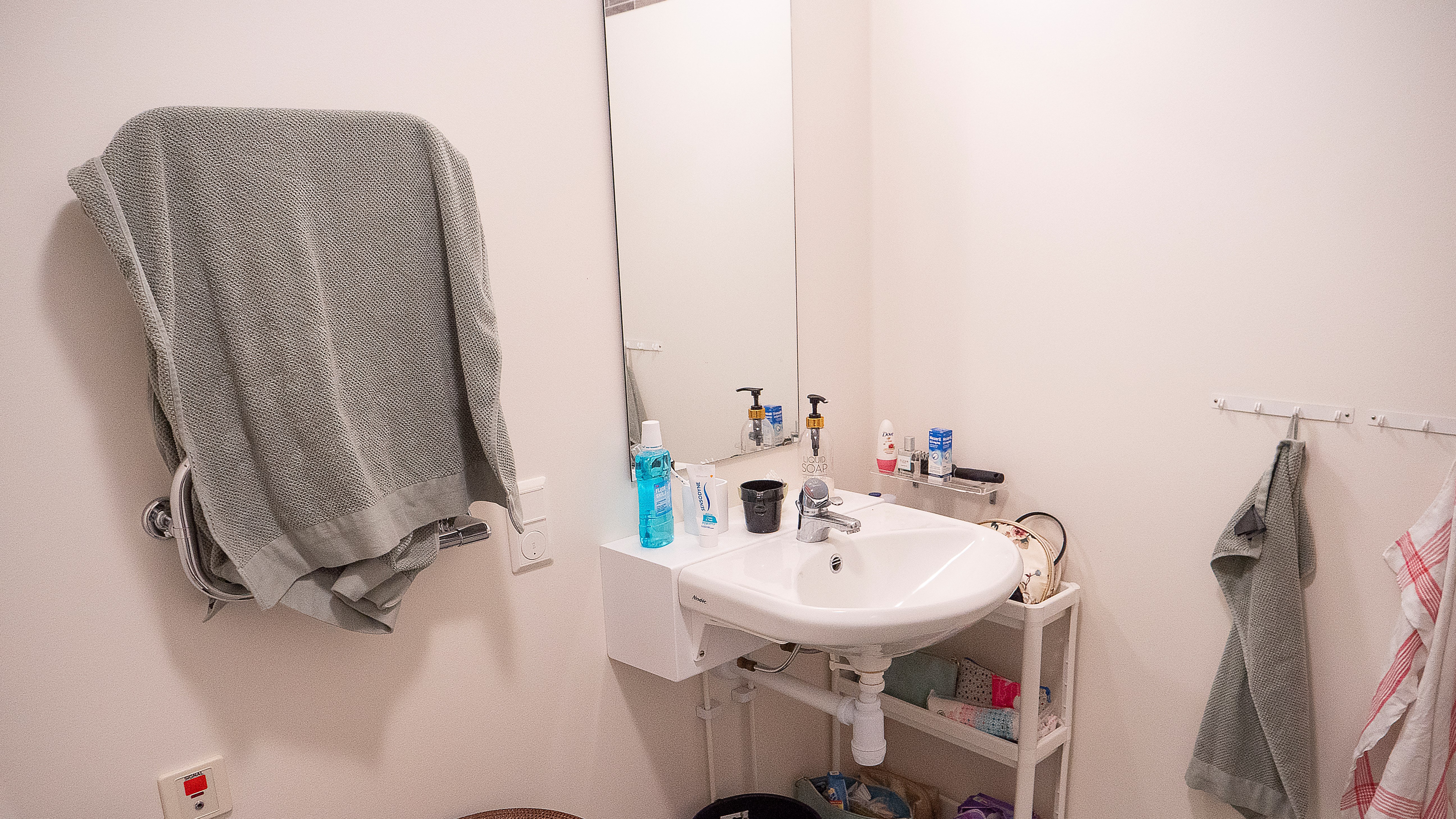 Handukshängare och handfat med spegel.