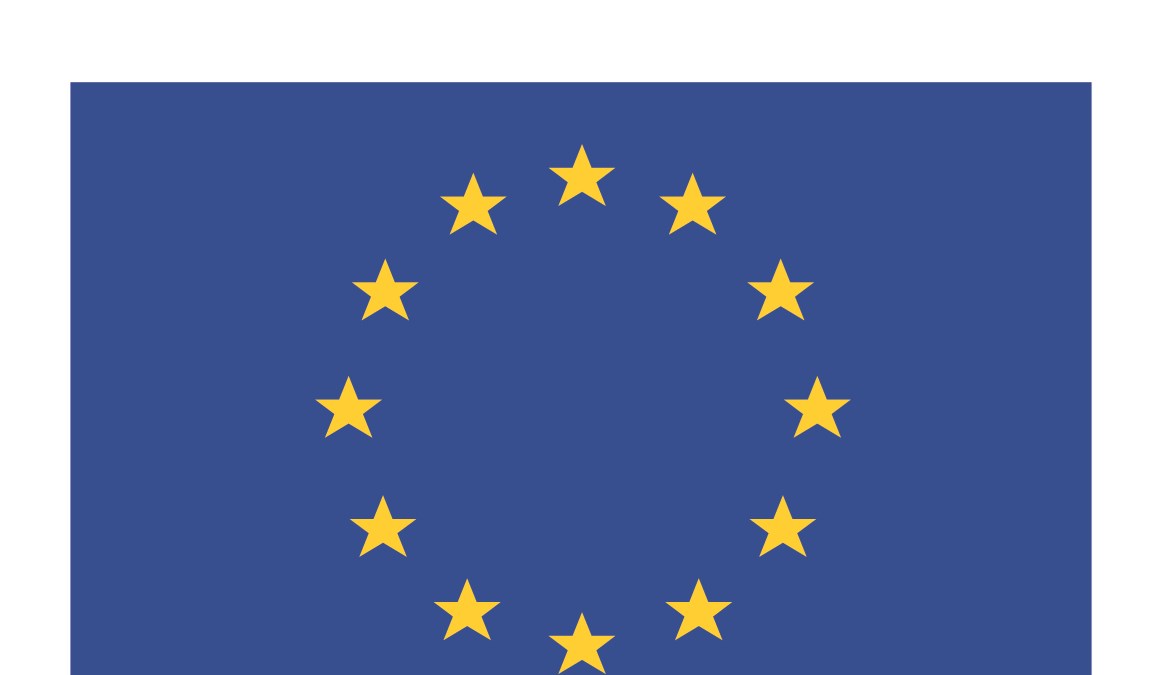 En EU Flagga