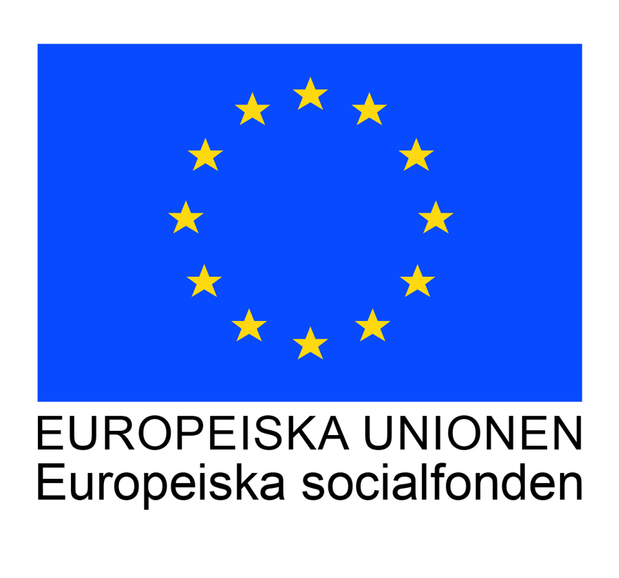 En EU Flagga