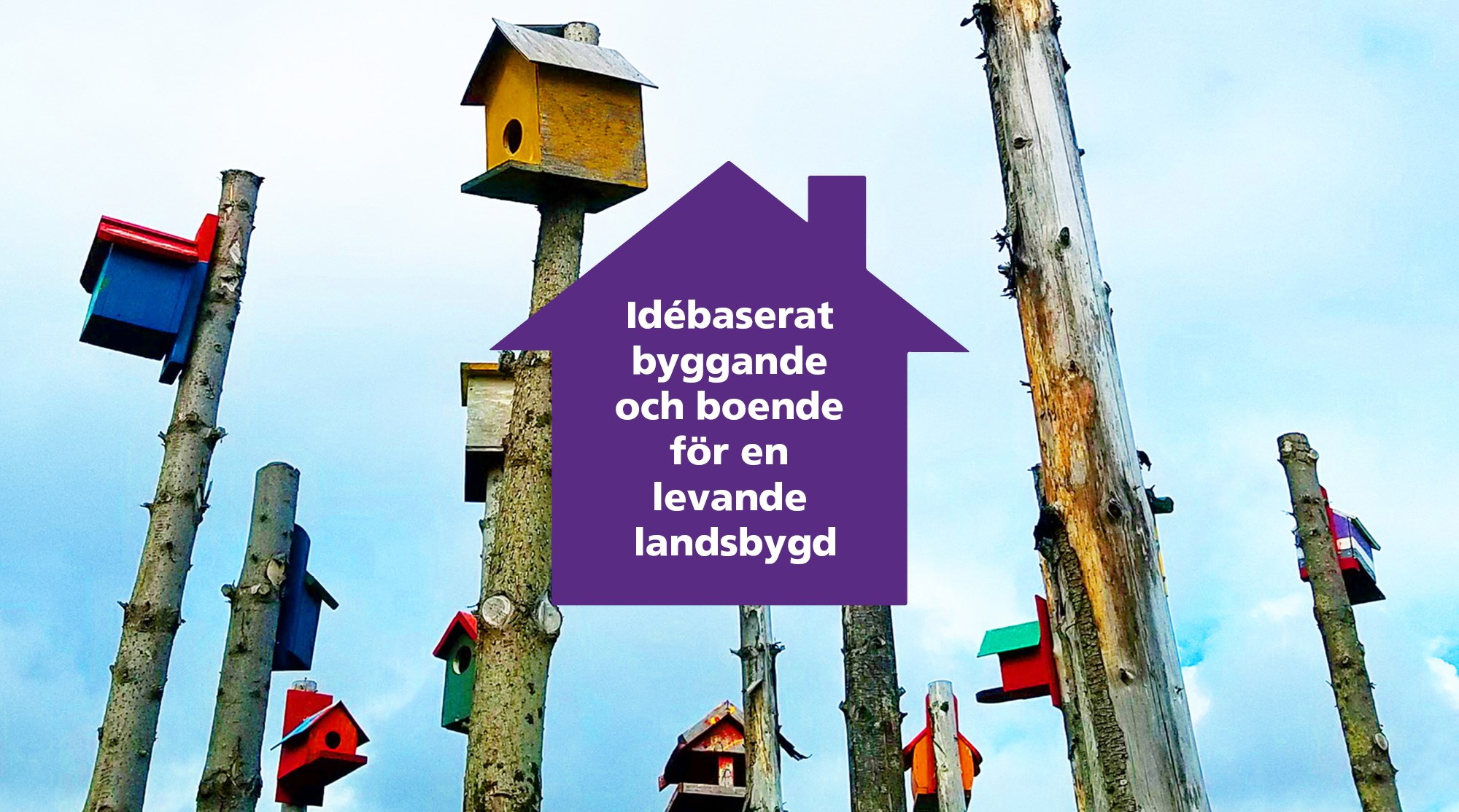 En lila tonplatta formad som ett hus med texten "Idébaserat byggande och boende för en levande landsbygd" i vitt. I bakgrunden syns ett foto med fågelholkar i olika färger på torrakor.