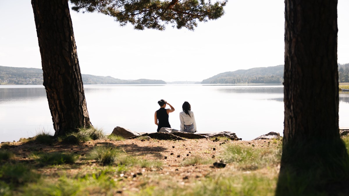 Två personer, fotograferade bakifrån, som tittar ut över en sjö
