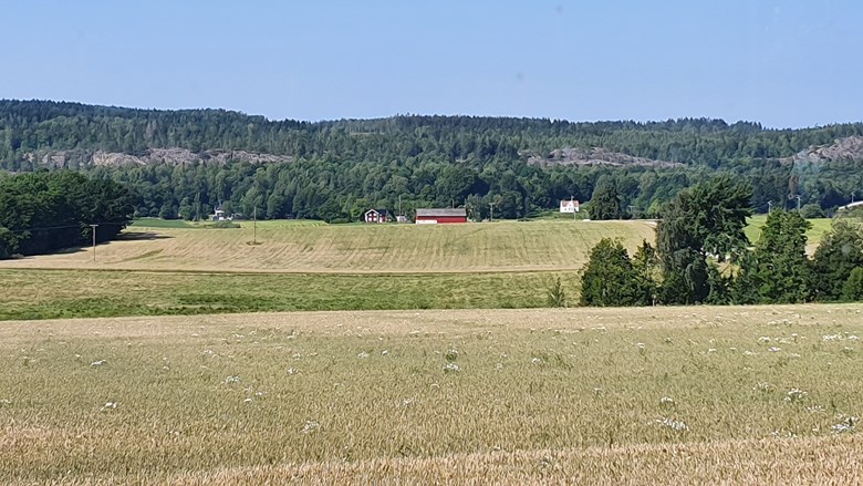 Fält och några röda hus. Det skogiga Kroppefjäll syns i bakgrunden.